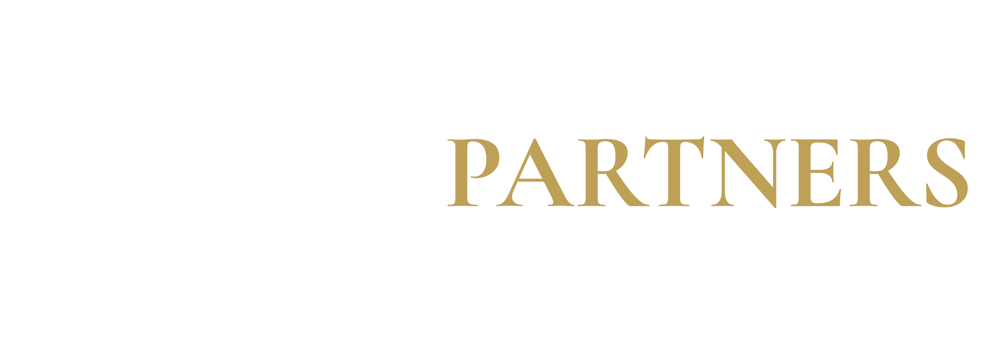 Fidelys Partners